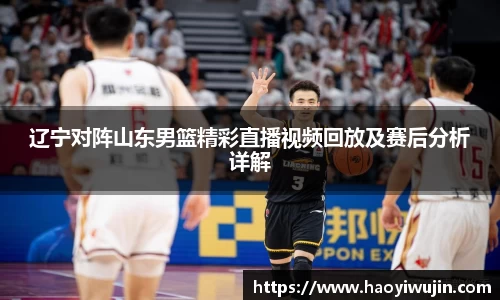 辽宁对阵山东男篮精彩直播视频回放及赛后分析详解